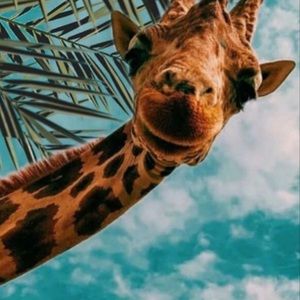 Meet your Posher, Deborah